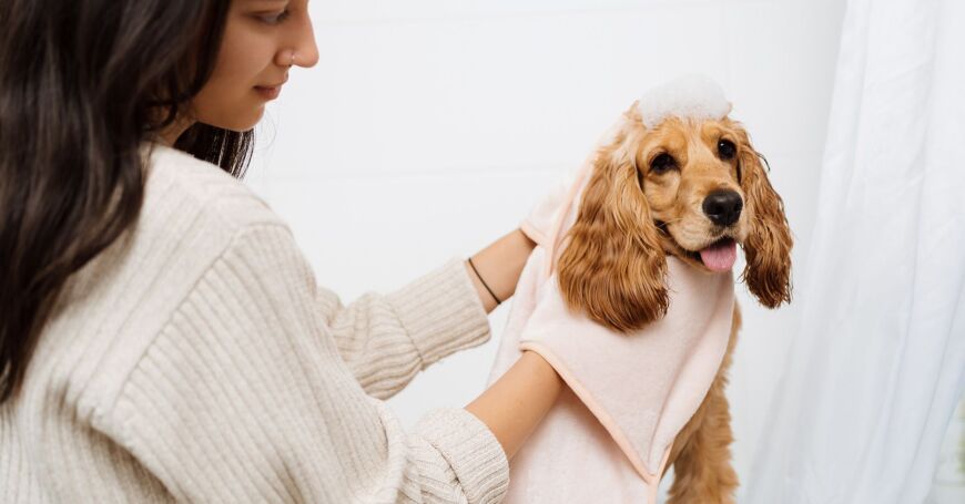 Nainen on pessyt koiransa laadukkaalla ja hellävaraisella shampoolla