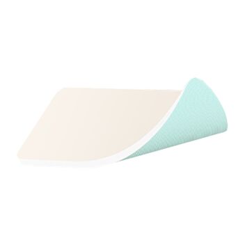 SORBACT FOAM DRESSING 10CM X 10CM 10 KPL 98310